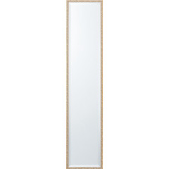 Elegant　ミラー(鏡)W260×H1200×D21mm